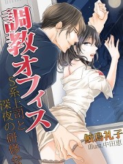 調教オフィス　Ｓ系上司と深夜の研修会H